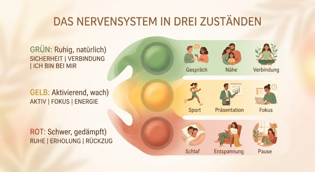 Nervensystem Ampel polyvagal theroie wohlbefinden